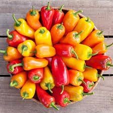 Sweet Pepper Seeds for Planting - 100 Pcs pcs