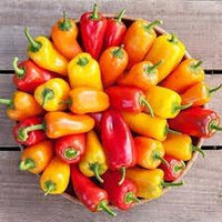 Sweet Pepper Seeds for Planting - 100 Pcs pcs