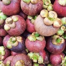 Mangosteen Fruit Seeds for Growing Sweet and Exquisite Mangosteens 100 Pcs pcs