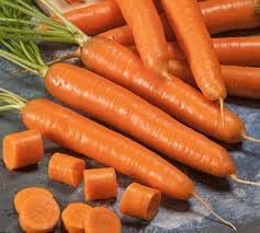 Bolero Carrot Daucus carota seeds for planting