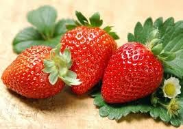 Organic strawberry Fragaria × ananassa seeds for home garden