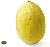 Yellow Cucumis Melo Fruit Seeds - Sweet and Refreshing Melons for Your Garden 100 Pcs pcs