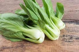 Pak Choi Brassica rapa seeds for garden planting