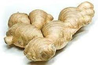 Ginger Zingiber officinale seeds for garden planting