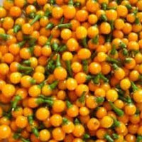 Aji Pepper Vegetable Seeds for Planting, heirloom & Non-GMO Seeds