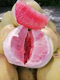 Davao pomelo fruit seeds