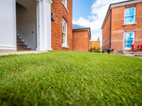 Premium Turf Mix for Ornamental Lawns