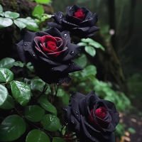 and (and scientific name) for planting in garden