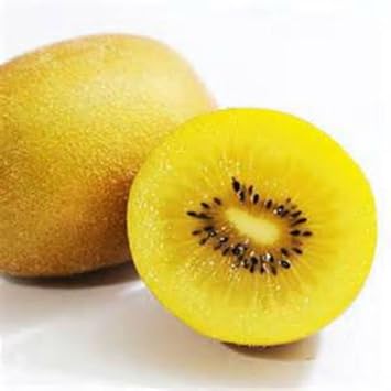 Golden Kiwi Fruit Seeds for Planting - A Sweet and Nutrient-Rich Kiwi for Your Garden