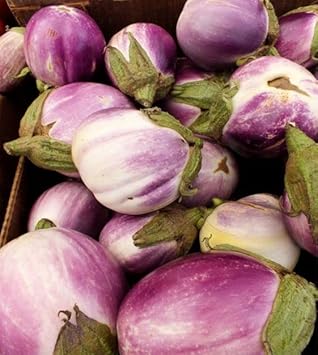 Lavender Eggplant Seeds for Planting - 100 Pcs pcs