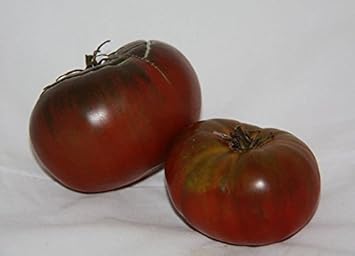 Maroon Tomato Seeds for Planting - 100 Pcs pcs