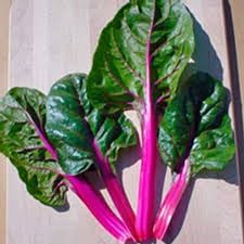 Pink Swiss Chard Seeds for Planting heirloom & Non-GMO Seeds