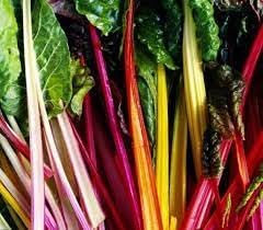 Swiss Chard Beta vulgaris seeds for garden planting