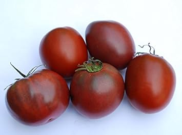 Maroon Tomato Seeds for Planting - 100 Pcs pcs