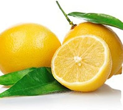 Yellow Lemon Fruit Seeds for Planting - Grow Luscious Yellow Lemons in Your Beautiful Home Garden
