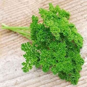 Lettuce Flower Seeds for Planting - 100 Pcs pcs