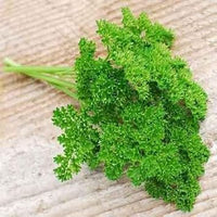 Lettuce Flower Seeds for Planting - 100 Pcs pcs