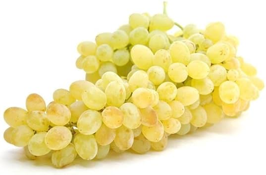 Yellow Grape Fruit Seeds for Planting - Growing Delicious and Vibrant Grapes, Non-GMO Seeds