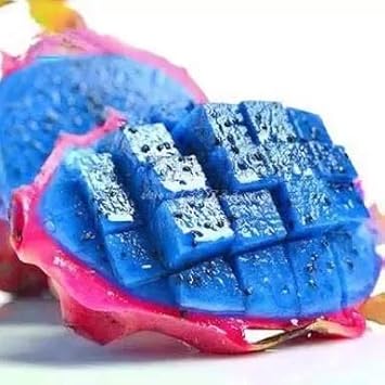 Pitaya Fruit Seeds Easy to Grow Blue 1 100 Pcs pcs
