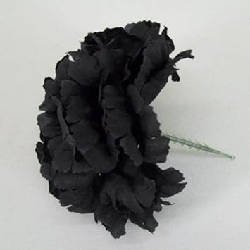 Black Carnation Flower Seeds – Heirloom, Non-GMO Seeds for Planting Elegant Garden Blooms