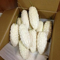 Momordica Vegetable Seeds for Planting - heirloom & Non GMO Seeds