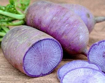 Blue Radish Raphanus sativus for planting in urban garden
