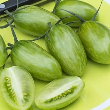 Tomato Vegetable Seeds for Planting – Green Variety - heirloom & Non GMO Seeds