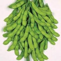 Soybean Vegetable Seeds for Planting, 100 Pcs pcs