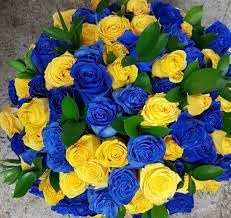 100 Pcs