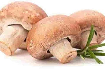 Mushroom Vegetable Seeds for Planting – Brown and White Mix 100 Pcs pcs