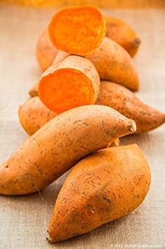Deep Orange Sweet Potato Ipomoea batatas for planting in home garden