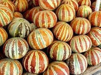 Kajari Melon Fruit Seeds for Growing Sweet and Juicy Melons 100 Pcs pcs