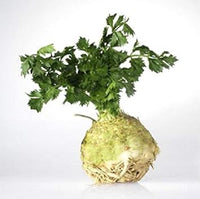 Celery (Apium graveolens) Seeds for Planting Scientific Name Placeholder for planting in home garden