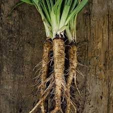 Suttons Vegetable Seeds for Planting - 100 Pcs pcs