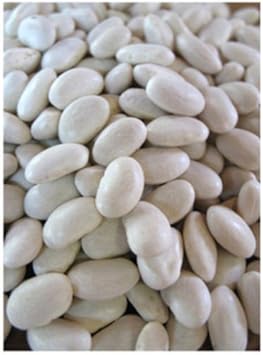 100 Pcs