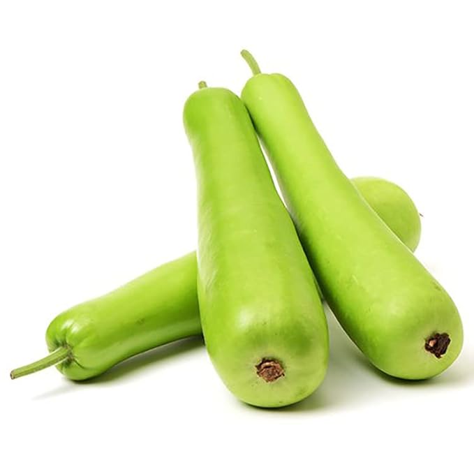 Green Bottlegourd Vegetable Seeds for Planting - Heirloom & Non-GMO Seeds for Beautiful Home Garden