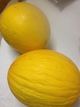 100 Pcs