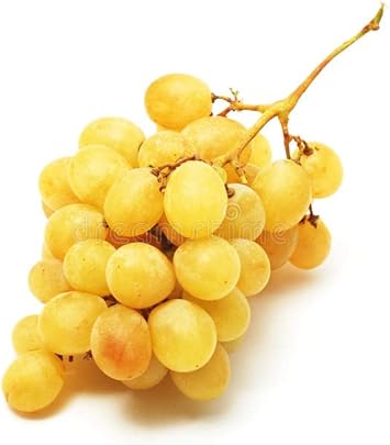 Yellow Grape Fruit Seeds for Planting - Growing Delicious and Vibrant Grapes, Non-GMO Seeds