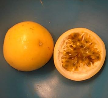 Orange Passion Fruit Seeds for Planting & Cultivation – Ideal for Garden,GMO Free