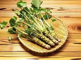 Horseradish Seeds for Planting - 100 Pcs pcs