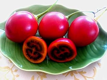 100 Pcs
