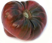 Marron Tomato Seeds for Planting - 100 Pcs pcs