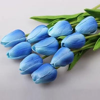 Sky Blue Tulip Flower Seeds for Planting – Heirloom, Non-GMO, Vibrant Blooms
