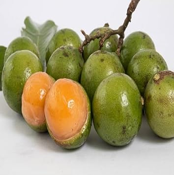 Mamoncillo Fruit Seeds for Planting - Growing Sweet, Tropical Treats, Heirloom and GMO Free Seeds