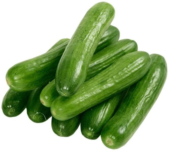 Arola Organic Cucumber Vegetable Seeds for Planting - Heirloom & Non-GMO Garden Seeds