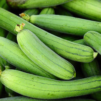 Luffa Gourd Sponge Seeds for Planting heirloom & Non-GMO Seeds