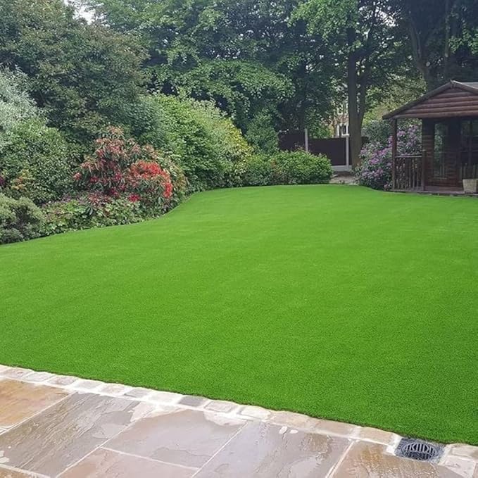 Eco-Friendly / Low-Maintenance Grass Seeds