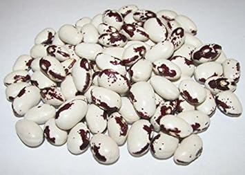 100 Pcs