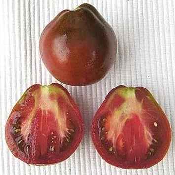 Maroon Tomato Solanum lycopersicum for planting in urban garden