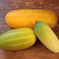 Super Big Winter Melon Seeds - High-Yield Waxgourd for a Giant Harvest 100 Pcs pcs